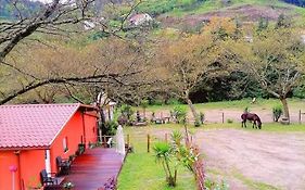 Quinta Do Fijo